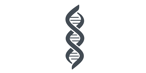 LLaMEA: A Large Language Model Evolutionary Algorithm for Automatically Generating Metaheuristics